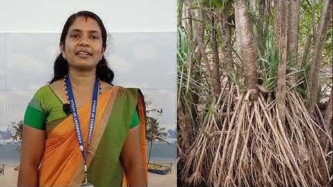 Std 5 Basic Science  Unit 1 Class 05 White Board ID