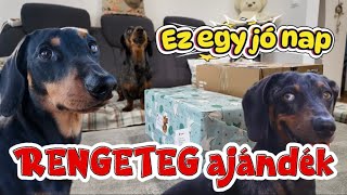 Merlin és Artúr RENGETEG ajándékot kapott TŐLETEK😱🤩🐶 #merlinesarturkalandjai 