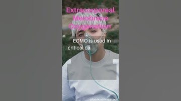 Extracorporeal Membrane Oxygenation│ Selected medical terminology │ #medicalterminology #ECMO #short