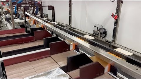 Econocorp Pegasus Continuous Motion Cartoner Packaging Trays of Crackers