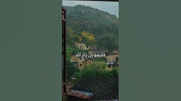 راحه نفسيه😴🎧يوم الجمعة🕊️أجمل حالات واتس اب قرآن كريم بصوت جميل جدا تلاوه خاشعه 𝙌𝙪𝙧𝙖𝙣 𝙎𝙩𝙖𝙩𝙪𝙨❤️