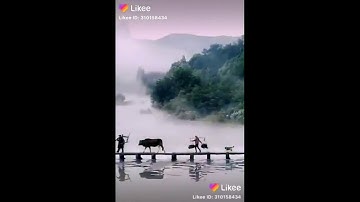 "سورة الضحى للقارئ عبدالله الموسى فيديو رائع"