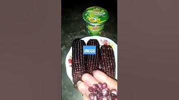 Jagung Ketan Ungu❗Pulen, Manis, gurih😋