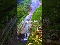 Peaceful Waterfall & Relaxing 432 Hz Music 🌿 Nature Calm #shorts #relaxingmusic #ambientmusic
