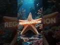 Starfish Lose a Leg and Grow a WHOLE New Body #mindblown #animals #shorts #starfish