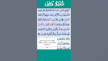 تلاوة خاشعة سورة فاطر الاية 10