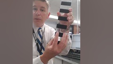 Henstitute - AP Physics 1 Lab on Determining the Acceleration of Gravity