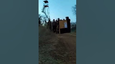 Project Cheetah India "Aasha" Release