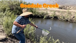 Episode 133: Eastern Sierra Trout Hunt at Goodale Creek