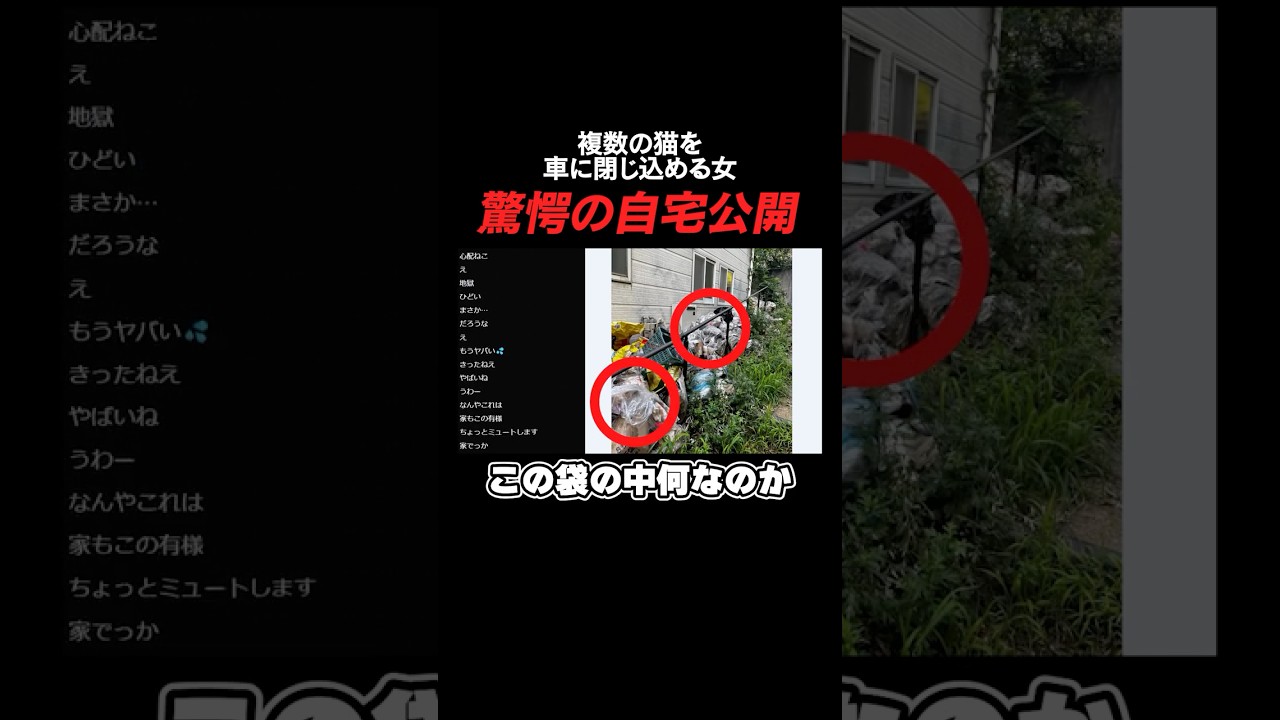 もうすぐ逮捕か？ゴミ屋敷で猫を100匹以上飼っている老婆がヤバすぎた…