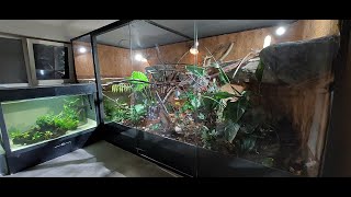 Giant 4350 gallon reptile enclosure  DIY timelampse