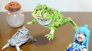 yeitao 大眼　ツノガエル　グロボーサ yeitao 大眼 ツノガエル グロボーサ yeitao 大眼 ツノガエル