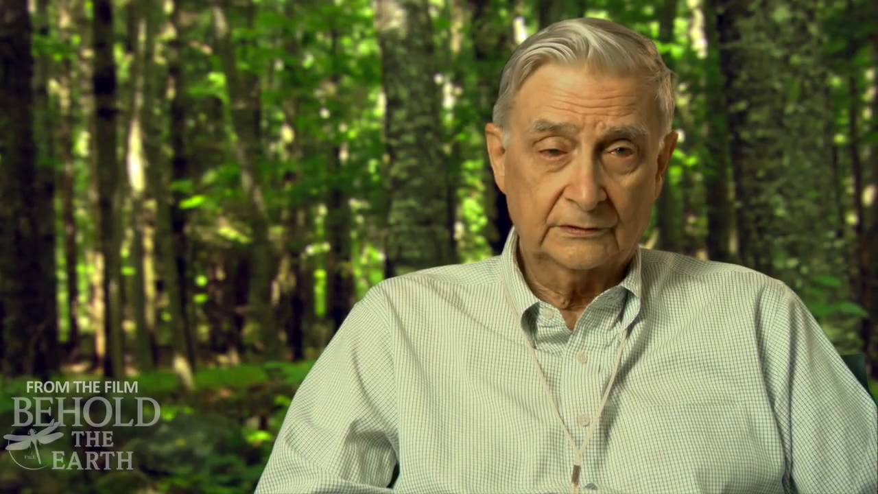 E. O. Wilson on writing The Creation Behold The Earth YouTube