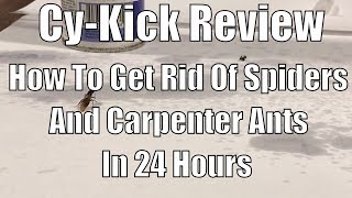 Cy-kick review and product test: How to get rid of spiders and carpenter ants in 24 hours