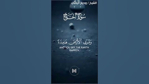 وترى الأرض هامدة - تلاوة بديعة لا توصف 🤍🎧الشيخ وديع اليمني #وديع_اليمني   #سورة_الحج