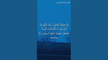 سورة المائدة ( ٨٠ - ٨١) / ياسر الدوسري