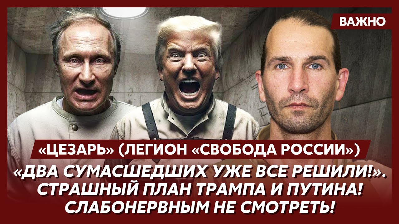 Легендарный «Цезарь». Срочно! Мы за вами идем! Экстренное обращение к Путину!