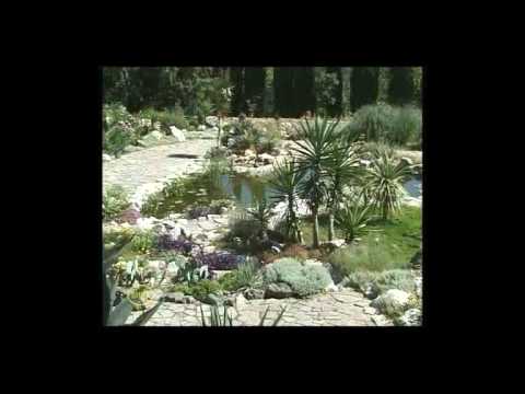 Video: Giardino Botanico Nikitsky