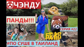 видео: КИТАЙ ЧЭНДУ 成都 🐼 СЕРИЯ #22 КАК ДОБРАТЬСЯ В ЗАПОВЕДНИК ПАНД НА БАЗУ ПАНД ЧЭНДУ ЕДЕМ ПО СУШЕ В ТАИЛАНД картинка: КИТАЙ ЧЭНДУ 成都 🐼 СЕРИЯ #22 КАК ДОБРАТЬСЯ В ЗАПОВЕДНИК ПАНД НА БАЗУ ПАНД ЧЭНДУ ЕДЕМ ПО СУШЕ В ТАИЛАНД