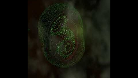 mitosis animation made in blender eevee