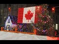 КАНАДА/Подготовка к Новому Году и Рождеству в Канаде/приют для бездомных собак в Канаде