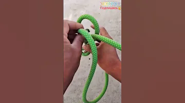 DIY. Простой узел. Уздца для лошади из веревки. Веревка дома. Просто и удобно. Лайфхак. #зоотроп