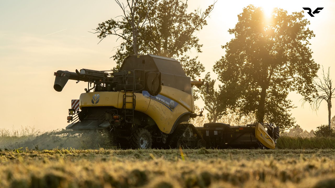 New Holland CR8080 & MacDon FD225 – Spectacular Rice Harvest 2025 🌾 ...