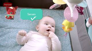 Tiny Love мобиль малый универсальный Принцесса - YouTube
