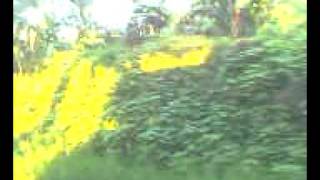 MOV0007A.avi