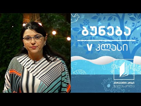 ბუნება, V კლასი - ეკოსისტემა #ტელესკოლა