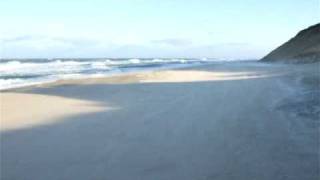 DSCF1646