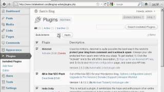 How to Upgrade or Delete Plugins Automatically