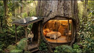 No One Expected This! This Man Built a Mini House Inside a Tree Alone
