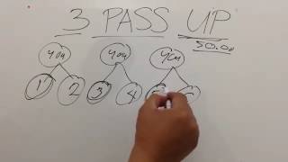Planpromatrix 3 PASS UP BONUS