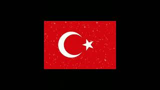 Turkish Flag with Magical Pixie Dust Effect | HD Visual Animation | 4K
