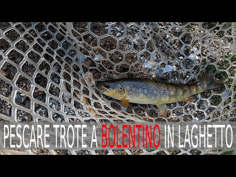 PESCARE TROTE A BOLENTINO IN LAGHETTO – Pesca a fondo lago Orbello