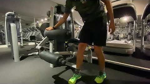 TechnoGym Leg Curl
