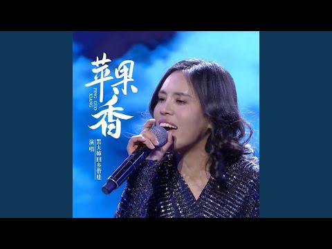 苹果香 (Dj何友版)