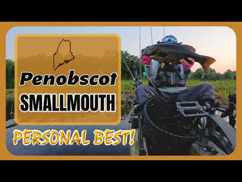 Penobscot River Trophy *PB SMALLMOUTH* - 8/5/26