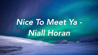 Nice To Meet Ya | Niall Horan (Lyrics)