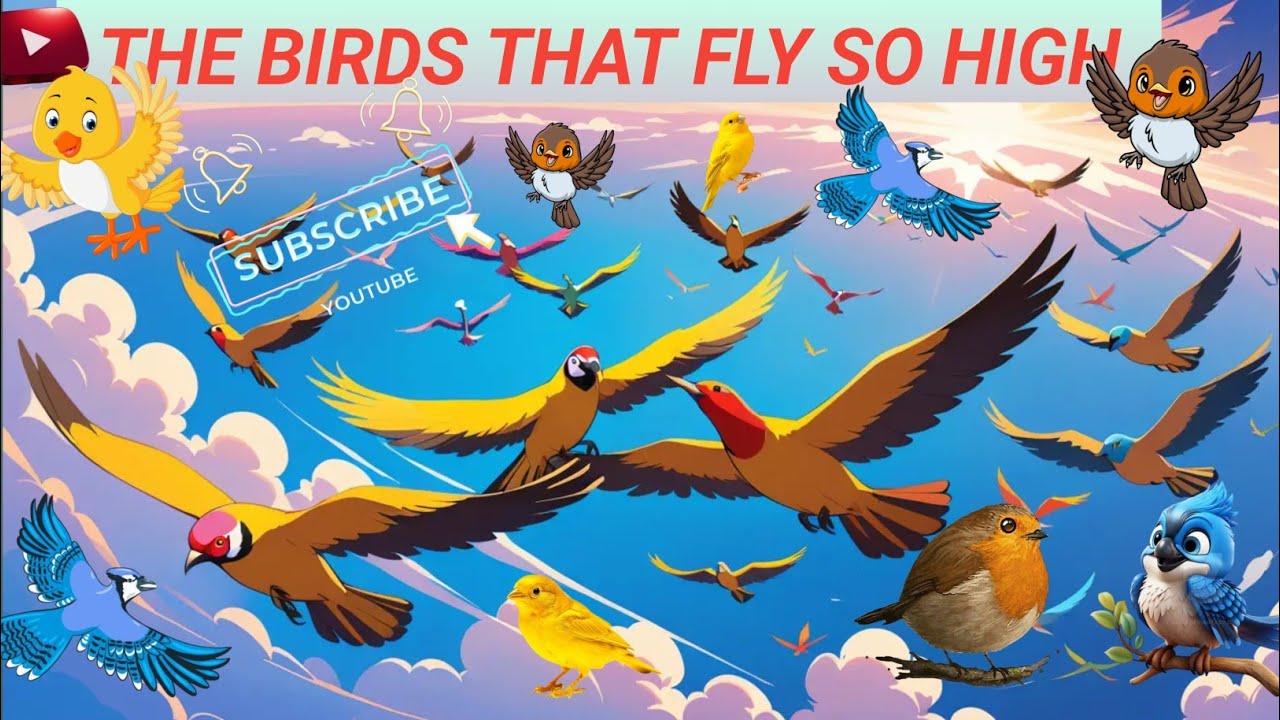 THE BIRDS THAT FLY SO HIGH 🐥🐦|English poems for kids|poems for kids ...