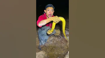 Outdoors Eel Eel Tiktok Foryou 