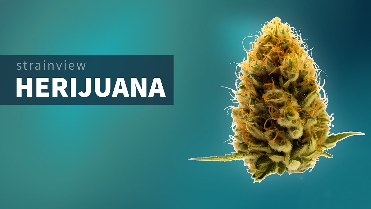 Herijuana - StrainView