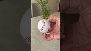 WHATS INSIDE A BASEBALL? 🤔 #shorts #cricket #unboxing