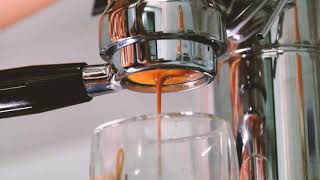 Russty Shorts - A Good Pull