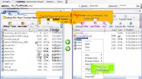 Managing files/folders in WS_FTP by www.vivahost.com