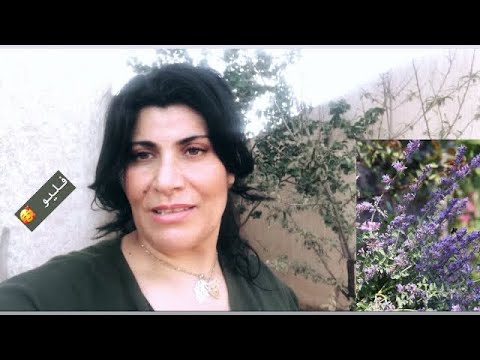 ذخلوا تزرعوا فليو