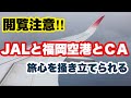 JALのこの飛行機でしか見られない大迫力の福岡空港へのランディングとＣＡアナウンス 【飛行機】
