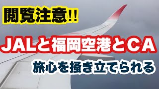 JALのこの飛行機でしか見られない大迫力の福岡空港へのランディングとＣＡアナウンス 【飛行機】