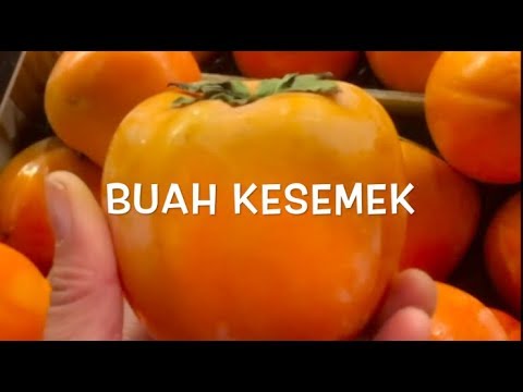 Video: Kesemek: Cara Menikmatinya Sepanjang Tahun